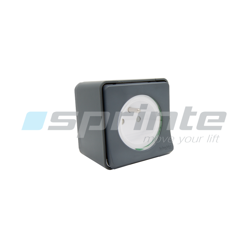 Socket / IP54 2 P + T